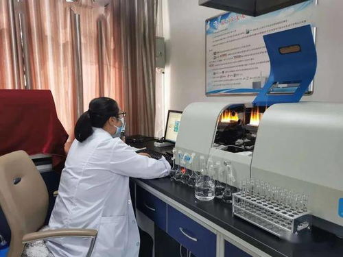 民樂縣水務(wù)局強(qiáng)化行業(yè)監(jiān)管，筑牢農(nóng)村飲水安全基石——聚焦集中式供水保障